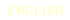 English version of site